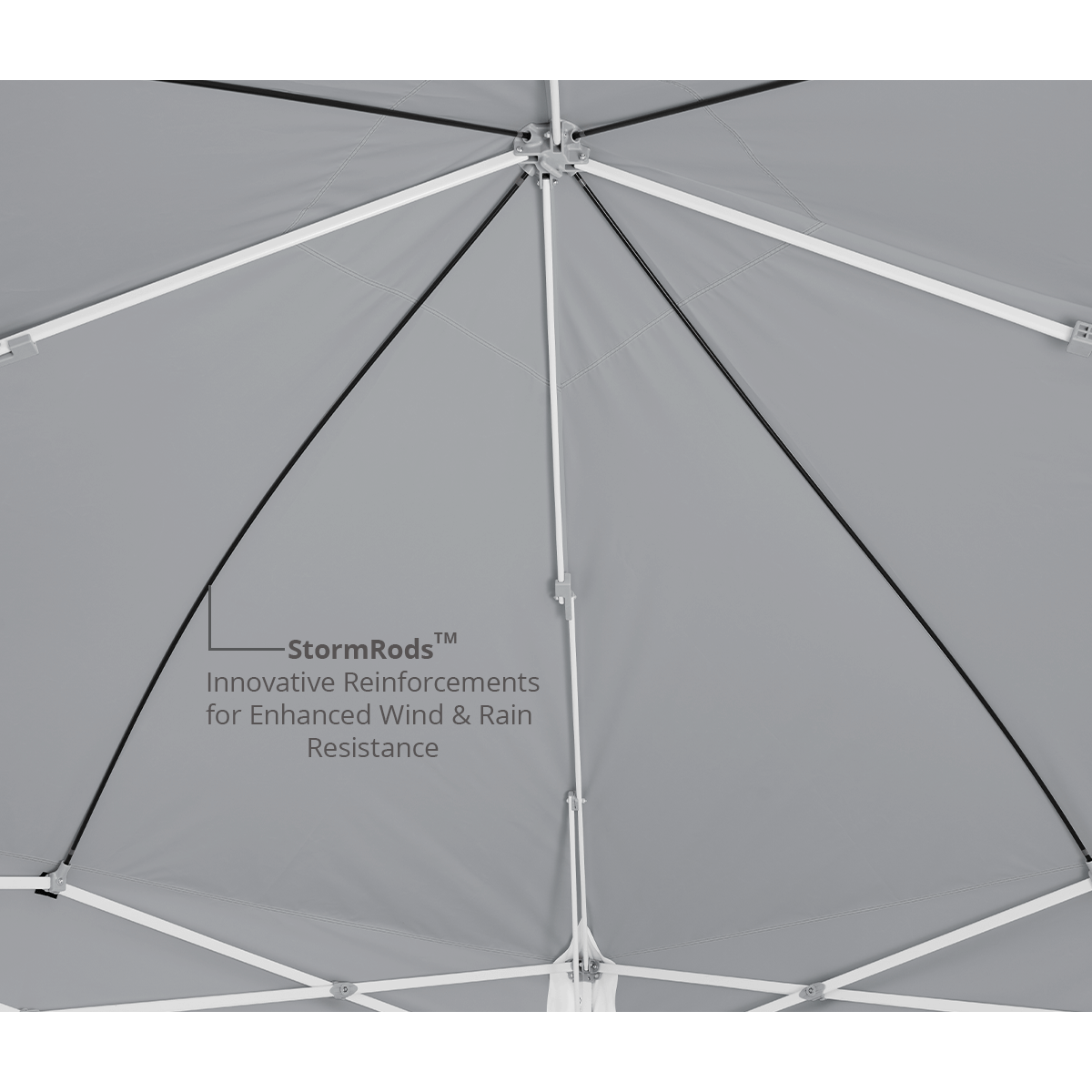 Eclipse™ MAX 10' x 10' Canopy