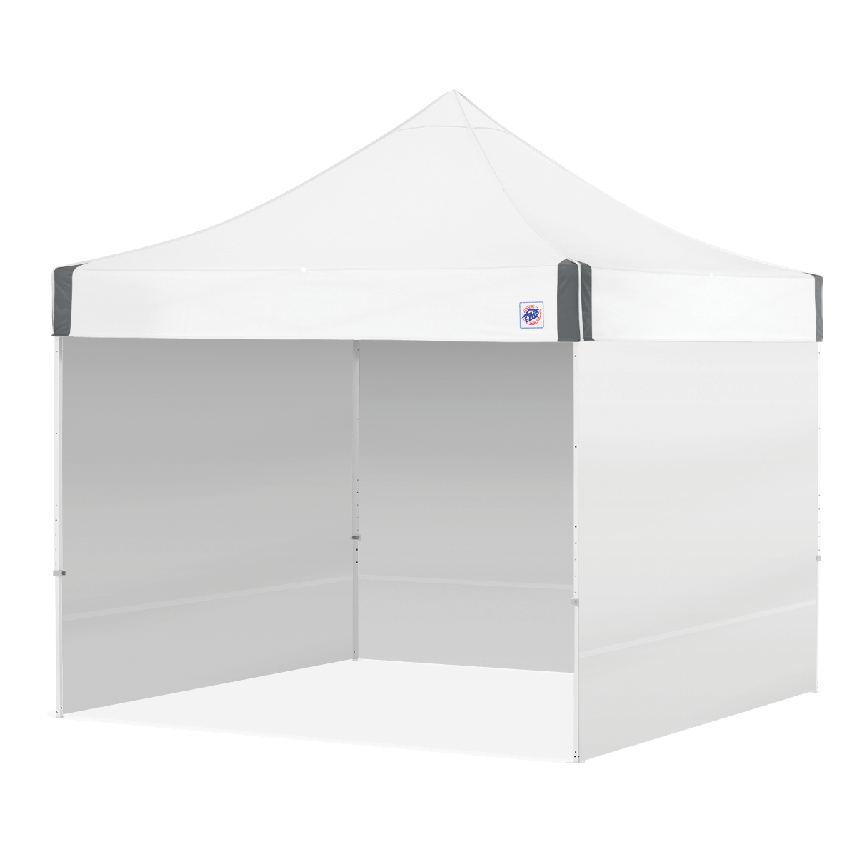 ES100S™ 10' x 10' Canopy Value Pack