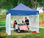 Canopy with screen walls discount